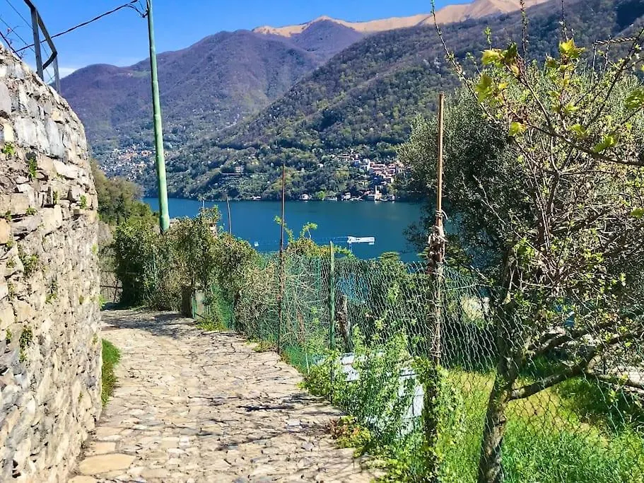 Romantic Home Stone With Amazing View Lake Of Como And Oleandra Laglio Holiday home